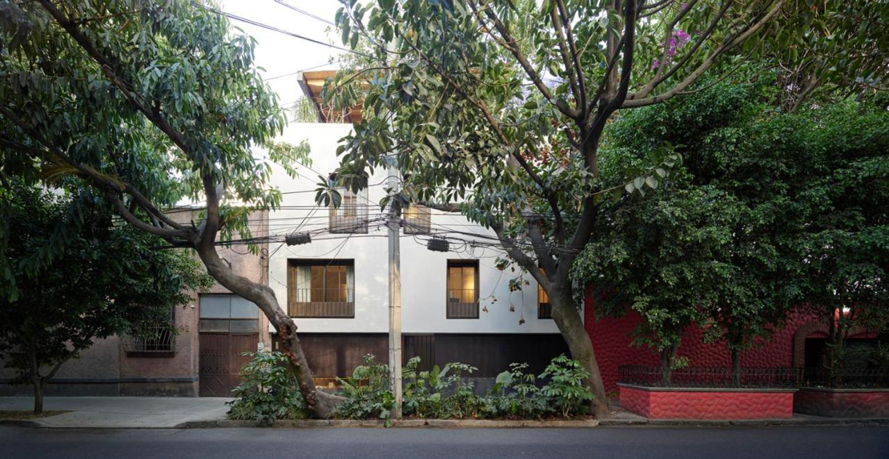 Hotel Dama México DF Exterior foto